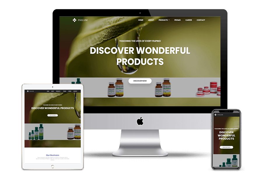 Portfolio Web Application Development project Accounting